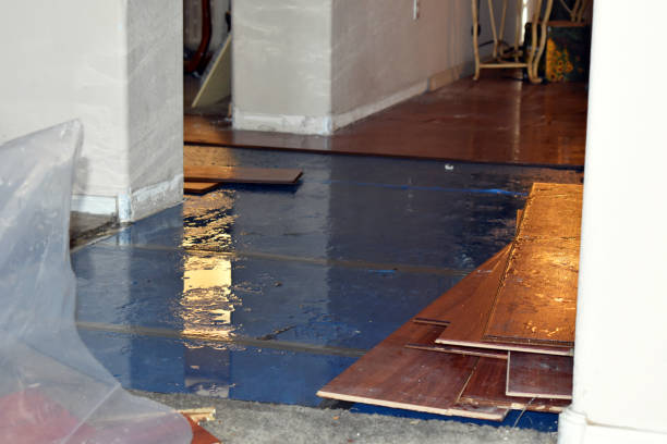 Professional Basement Flood Cleanup technician working in Columbus, MN